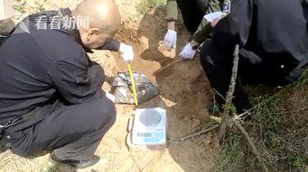 吃瓜奇葩爸爸视频,亲子互动新潮流  第3张