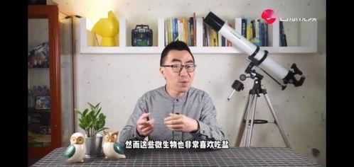 义父蔡铭吃瓜视频,揭秘娱乐圈幕后风云  第3张