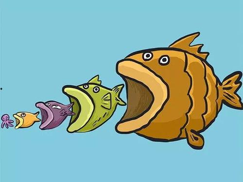 小鱼吃跳舞瓜视频,萌趣互动萌翻网友