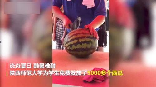 陕西吃瓜事件真相视频播放,真相视频背后的惊人内幕