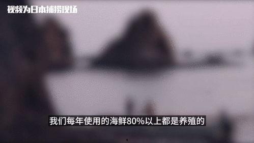 今天网上吃瓜视频是真的吗,真假难辨，真相几何？