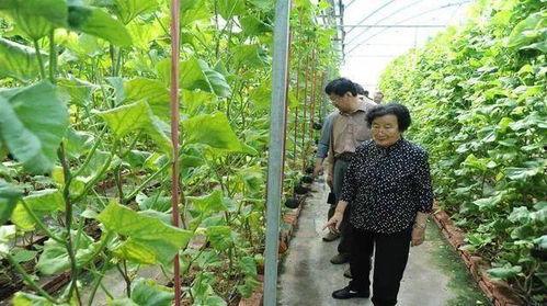 博主吃瓜麻将是真的吗视频,真相还是炒作？