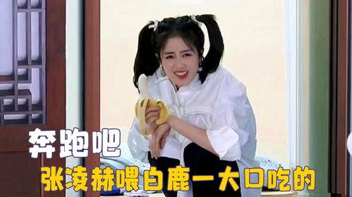 圈内吃瓜白鹿张凌赫视频,吃瓜群众直呼“太甜了！”