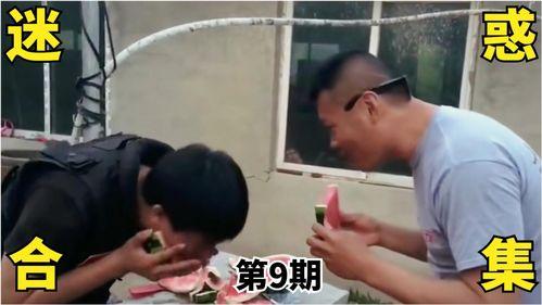 吃瓜搞笑动画视频大全集,欢乐无限