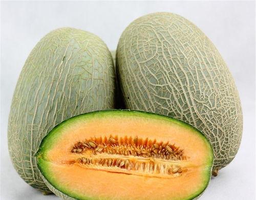 鹅会吃哈密瓜吗视频教程,揭秘鹅是否会享用哈密瓜