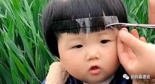 吃瓜金仔剪刘海视频,笑料百出引网友热议