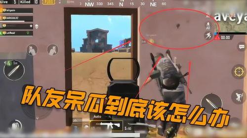 吃鸡视频呆瓜,欢乐搞笑，带你领略游戏魅力