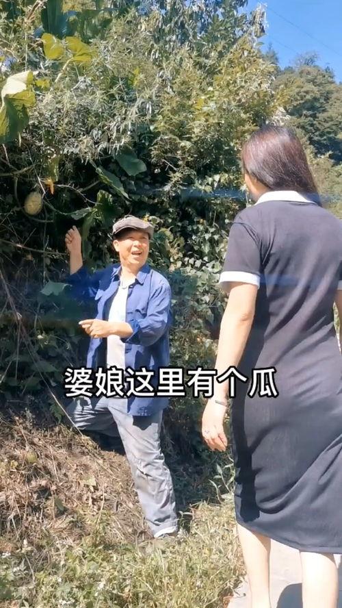 吃瓜视频致富是真的吗,吃瓜视频致富神话，真相究竟如何？