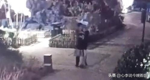 高中吃瓜远古视频,揭秘高中时代的热门视频