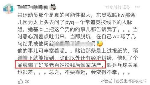 吃瓜群众大骗局视频大全,视频大全深度剖析