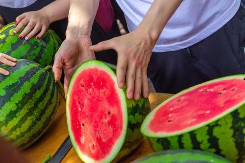 西瓜视频吃瓜盛宴,吃瓜盛宴，带你领略网络热点的狂欢时刻