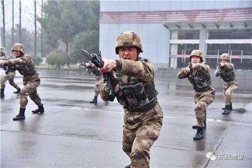 兵哥哥吃瓜相亲视频播放