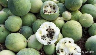 瓜子群众吃瓜视频,揭秘瓜子群众吃瓜视频背后的故事