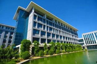 郑州财经师范吃瓜视频,揭秘背后真相