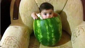 沐龙泉吃瓜事件视频大全,视频大全揭秘幕后真相